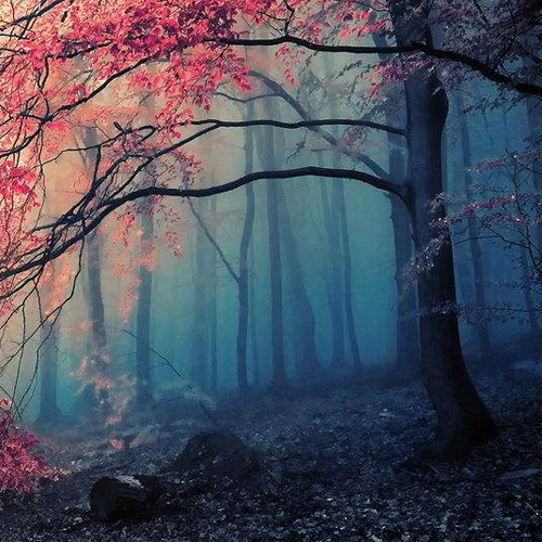 �F(xi��n)������һ