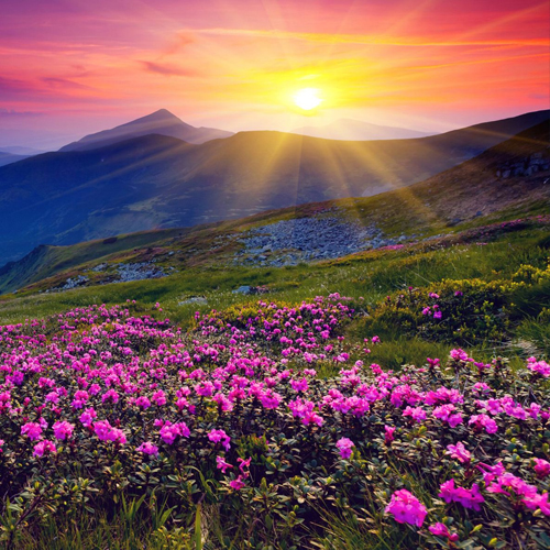 �F(xi��n)��������