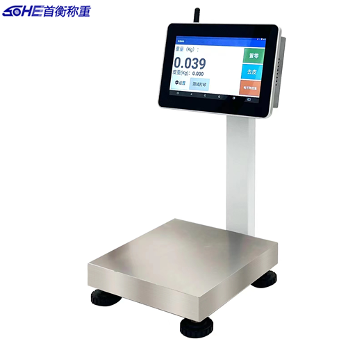 ������ӡ�_(t��i)��